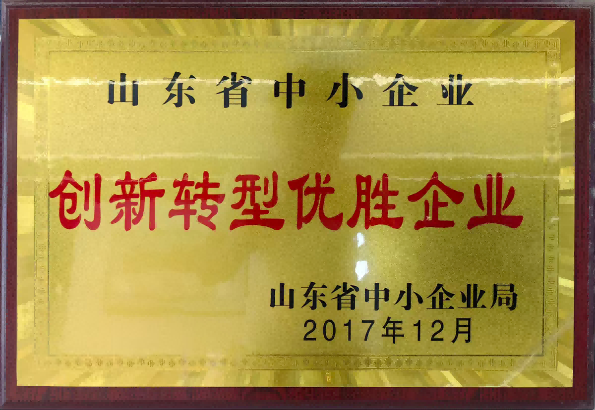 創(chuàng)新轉型優(yōu)勝企業(yè)